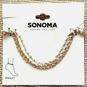 NEW Anklet Sonoma Silver Rose Gold Metal Twisted Chain Ankle Bracelet NBr1